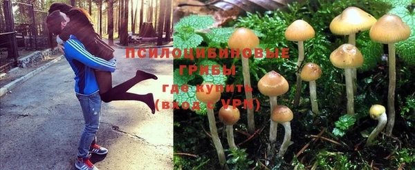круглые Абаза