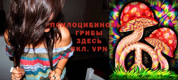 круглые Абаза
