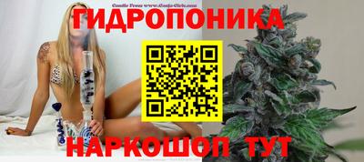 мдпв Уссурийск
