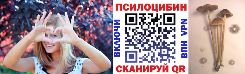 Псилоцибиновые грибы Psilocybine cubensis  blacksprut сайт  Рязань 