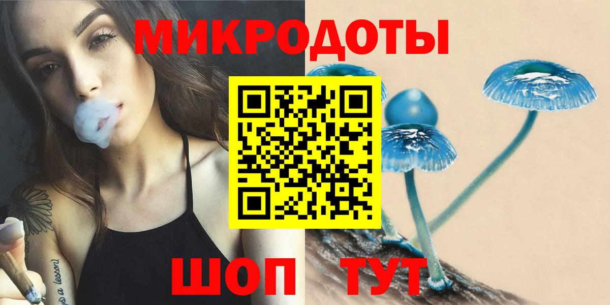 купить   Вход с VPN  Рязань  Галлюциногенные грибы Psilocybe 